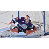 Orlando's Massa Named Warrior Hockey ECHL Goaltender of the Month