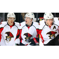 Andreas Englund, Buddy Robinson Recalled by the Ottawa Senators