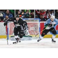 Steelheads Sign Defenseman Jake Rutt