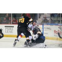 Power Play Pushes Adirondack to 5-1 Win over Colorado