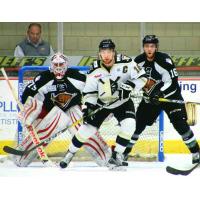 Nailers Loan Derek Army to Milwaukee Admirals