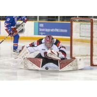 Kitchener Edges 67's on Mascherin Overtime Winner