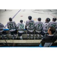 McCarron's Four Goals Lifts 'Blades to 8-6 Win OverOrlando