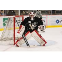 Nailers Receive Goaltender Sean Maguire