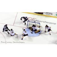 Steelheads' Surge Falls Short in Colorado