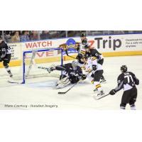 Saunders Shines in 2-1 Win over Steelheads