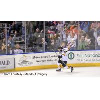 Eagles Sweep Steelheads with 4-3 Win on Teddy Bear Toss Night
