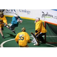 Knighthawks Swat the Swarm, 17-15