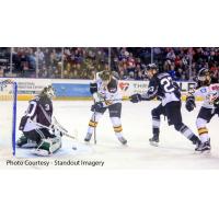 Steelheads Weekly Report: December 12