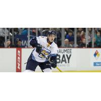 Toledo's MacDonald Named ECHL Player of the Week