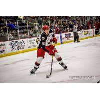 Vaclav Karabacek Recalled to Americans