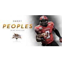 Force Add Experience Wide Receiver