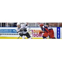 Monarchs Tame Jackals, 4-2