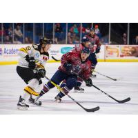 Eagles Shutout Oilers for Second Straight Night