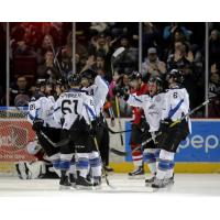 Linsmayer on Fire - Linsmayer Scores Twice, Steelheads Top Rush