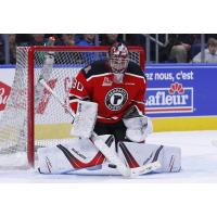 Sea Dogs Acquire Booth in Multi-Player Swap with Remparts