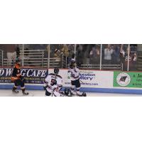 Stingrays Upend Swamp Rabbits 6-3