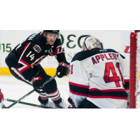 Binghamton Stopped in Albany 7-1