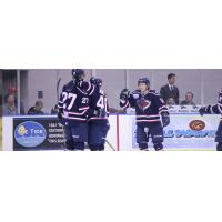 McGauley Reassigned to Stingrays