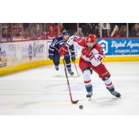 Americans Asuchak Wins Sherwood Hockey ECHL Player of the Week