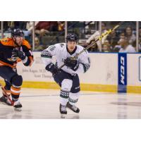 Mike Aviani Returns from AHL Rochester