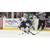 Everblades Use Four Goal First to Defeat Gladiators 5-2