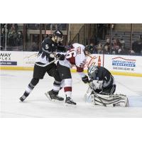 Steelheads Quiet the Rush - Komm Stops 47 Shots for First Shutout as a Steelhead