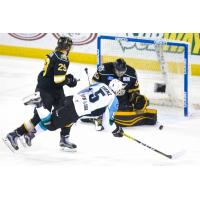 Eagles Claw Aces 4-1 Friday Night in Anchorage