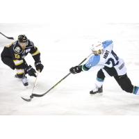 Colorado Tripped up in 4-1 Loss to Alaska