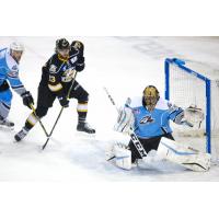 Roller Coaster Ride Goes to Aces, 6-4 over Colorado