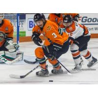Mallards Visit Saturday for McDougall #19 Retirement