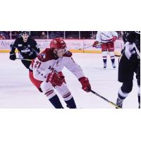 Allen's Makowski Is AMI Graphics ECHL Plus Performer of the Month
