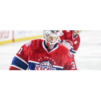 Veteran Goalie Pitton Returns from AHL