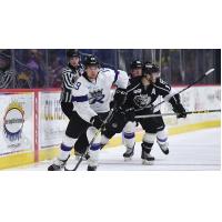 Reading's Crandall Named Sher-Wood Hockey ECHL Player of the Week