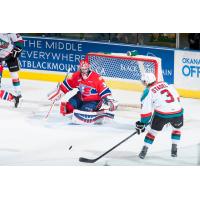 Rockets Hunt for a Win against the Spokane Chiefs