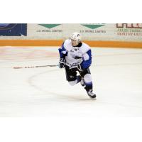 Screaming Eagles Double Up Sea Dogs