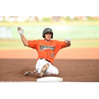 2016 Dragon Nick Senzel Picked as Reds #1 Prospect