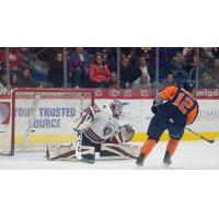 Firebirds Score Seven in Saturday Victory vs. Guelph