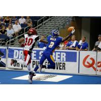 Hills Returns to Tampa Bay