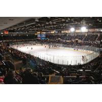 Firebirds Head to Saginaw for Tuesday Night Battle