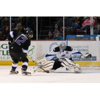 Branden Komm Heads to AHL Bakersfield