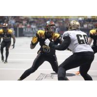 Ings Returns to Tampa, Dillon Joins the Storm