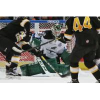 osie Robbery - Steelheads Top Eagles Behind Desrosiers' 52 Saves
