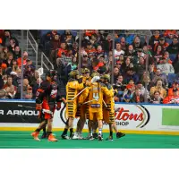 Georgia Swarm Topples Bandits in Buffalo