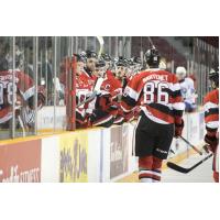 67's Can't Rally from Early Deficit, Fall 6-1 to Steelheads