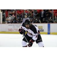 Storm Acquires F Jonathan Bendorf from NAHL