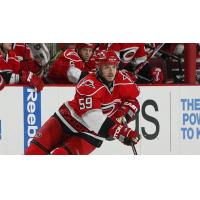 NHL Veteran Chad LaRose Joins Solar Bears