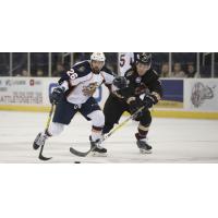 Gladiators Earn Point in OT Loss to Greenville