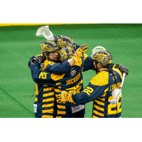 Georgia Swarm Looks to Stay Undefeated Tomorrow Night