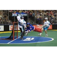 Vinc Backstops Knighthawks' Road Win